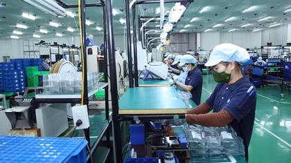 Tiến hành tổng điều tra kinh tế từ ngày 5/1/2026