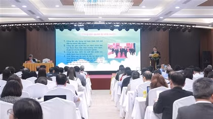 Xuất bản vẫn phụ thuộc vào mảng sách giáo dục, chật vật vì sách giả, sách lậu