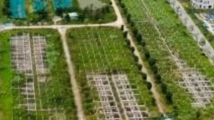 Điều tra mở rộng vụ lừa đảo mua bán đất nền "dự án" tại Công ty Đại Phúc Real