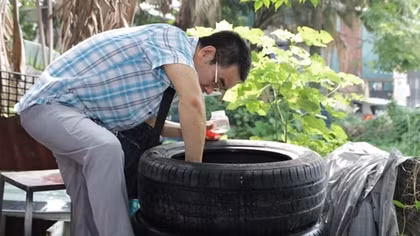 Sốt xuất huyết gia tăng, người dân không nên chủ quan