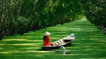 Đồng bằng