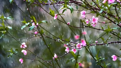 Mùa xuân đầu tiên