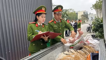 Siết chặt “vòi bạch tuộc” của tội phạm buôn bán động vật hoang dã