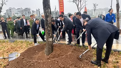 Phấn đấu trồng 3.000 cây xanh trong năm 2026 tại xã Đông Anh, TP Hà Nội
