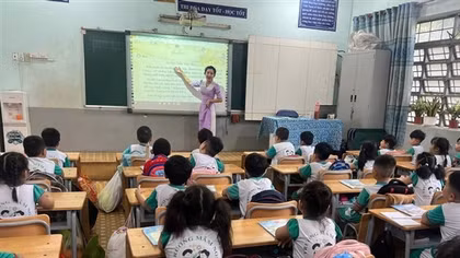 TP Hồ Chí Minh thu hồi đất công sử dụng kém hiệu quả để xây dựng trường học