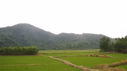 Gặp nam sinh cứu phi công trong vụ máy bay quân sự rơi ở phía Đông tỉnh Đắk Lắk