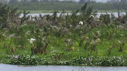 Bảo tồn và phát huy hệ sinh thái hồ Sông Đầm