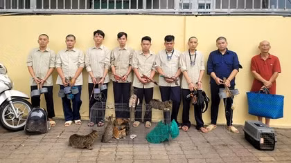 Đối tượng cuối cùng trong nhóm “dơi đêm” săn trộm mèo đã ra đầu thú