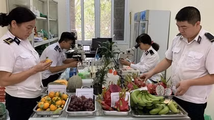 Tạm lùi thực hiện Nghị định 46 đến khi Luật An toàn thực phẩm sửa đổi có hiệu lực