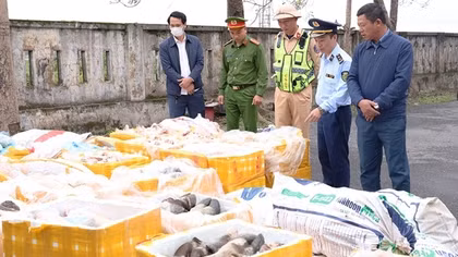 Tiêu hủy hơn 2,6 tấn nội tạng động vật không rõ nguồn gốc