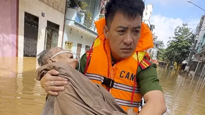 Căn tính Việt như mầm xanh cội