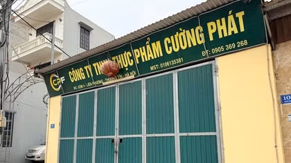 Đằng sau những “lá bùa” giúp lợn bệnh ra chợ