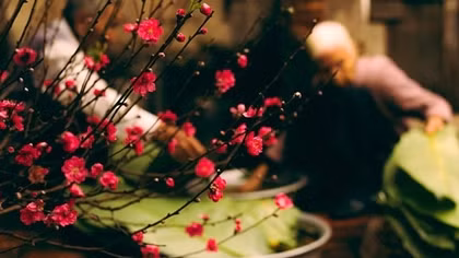 Đợi Tết