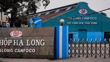 Lỗ hổng nào trong thu gom, vận chuyển lợn bệnh "phù phép" thành pate thịt hộp?