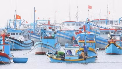 Bài 4: Ngư dân, doanh nghiệp xoay trục tiết kiệm ứng phó với giá nhiên liệu