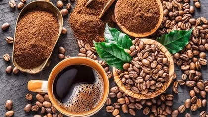Liên hợp quốc thông qua nghị quyết "Ngày quốc tế Cà phê" do Việt Nam đồng bảo trợ