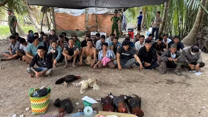 Triệt xóa sòng gà lớn ở An Giang