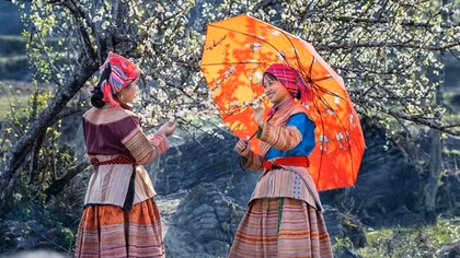 Thiếu nữ và các loài hoa