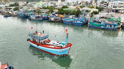Khắc phục “thẻ vàng” IUU từ nền tảng số quản lý tàu cá