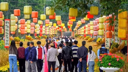 Đảm bảo an ninh, an toàn, phục vụ đông đảo khách du lịch trong dịp Tết