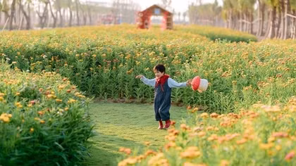 Tết giữa miền xanh tại các đại đô thị của Ecopark