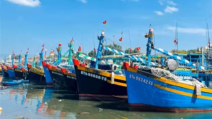 Gỡ “thẻ vàng” thủy sản: Không hình thức, không chạy theo thành tích