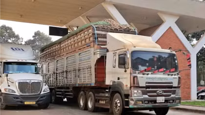 Chính thức tạm ngưng hiệu lực thi hành Nghị định 46 về an toàn thực phẩm