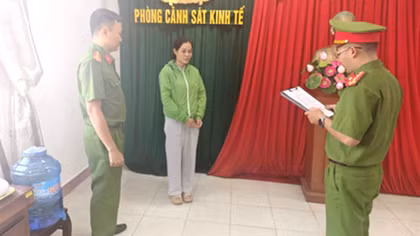 Nữ giám đốc làm khống hơn 500 hóa đơn để trục lợi tiền thuế