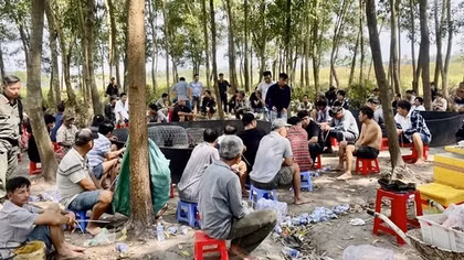 Trường gà trong rừng ăn thua tiền tỷ bị triệt phá ngày giáp Tết