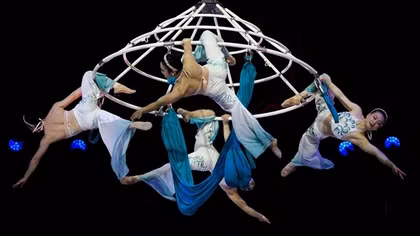 Khi Xiếc Việt “trở mình”