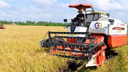 Tận dụng FTA, đẩy mạnh xuất khẩu gạo vào thị trường giá trị cao