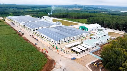 Sao Mai Agro: Chuẩn hóa từ vùng trồng đến nhà máy, nâng tầm nông sản Việt