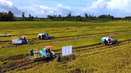 Doanh nghiệp, hiệp hội chung tay giữ nhịp sản xuất nông nghiệp