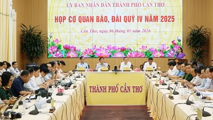 Cơ quan CSĐT đang thụ lý điều tra vụ chặt hạ 42 cây xà cừ ở công viên hồ Nước Ngọt