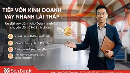 Nghịch lý “lính mới”: Kinh doanh nhiều năm vẫn khó vay vốn sau khi chuyển đổi doanh nghiệp