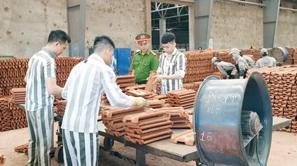 Đảm bảo tính nghiêm minh, nhân văn, phù hợp yêu cầu xây dựng Nhà nước pháp quyền