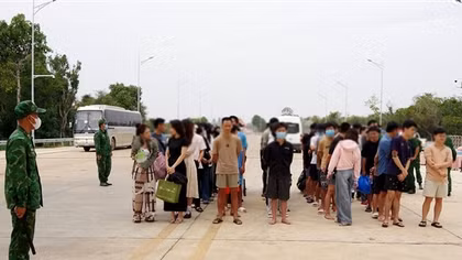 Tiếp nhận 53 công dân do Campuchia trao trả