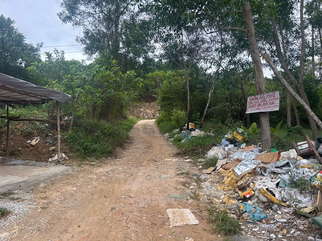 du-an3.jpg