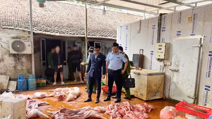 Chuyển cơ quan điều tra vụ gần 1 tấn thịt lợn nghi nhiễm dịch tả lợn châu Phi
