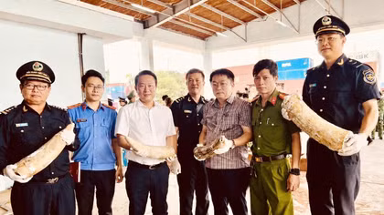 Phát hiện gần 1,2 tấn ngà voi và xương động vật tại cảng Quy Nhơn