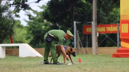 Bế mạc Hội thi cán bộ huấn luyện và chó nghiệp vụ giỏi lần thứ V