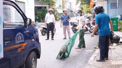 Bé trai 10 tuổi ở Đồng Nai tử vong do bệnh dại