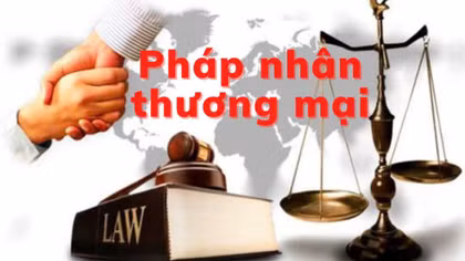 Hoàn thiện pháp luật hình sự về pháp nhân thương mại phù hợp yêu cầu thực tiễn