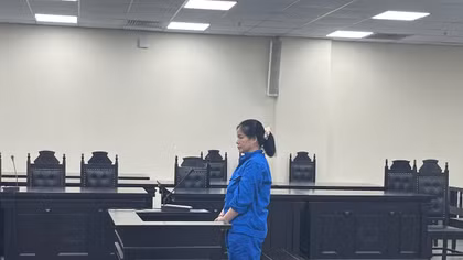 Vẽ “Dự án năng lượng mới”, lĩnh 17 năm tù