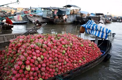 Sản phẩm mua bán ở chợ chủ yếu là các mặt hàng nông sản và trái cây.