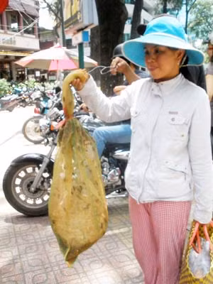 Hiểm họa chết người khi ong mặt qủy "dạo" phố ảnh 1