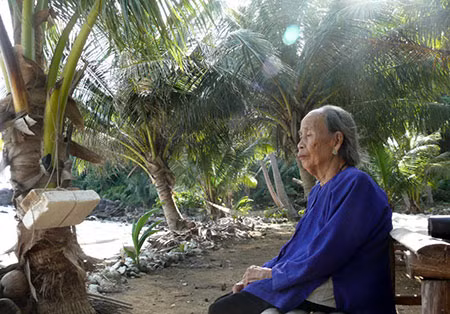 Mỗi chiều, nữ chúa Bảy Yên đều ra hàng dừa trước biển ngóng về một nơi xa xăm.