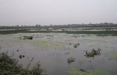 Khu đất dự án khu đô thị Nam 32 hiện vẫn là ruộng. Bản đồ lô đất mà sàn bất động sản đưa ra để chào khách.