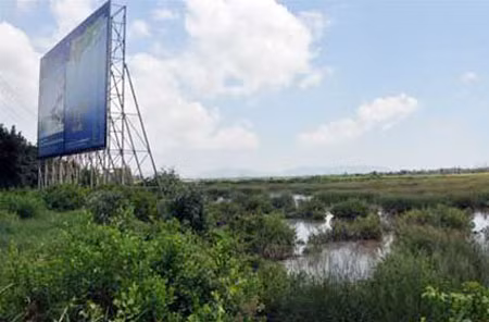 Treo ảnh 1