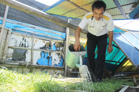 Sinh hoạt trên đảo của các chiến sĩ.